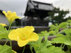 鐘撞き堂
