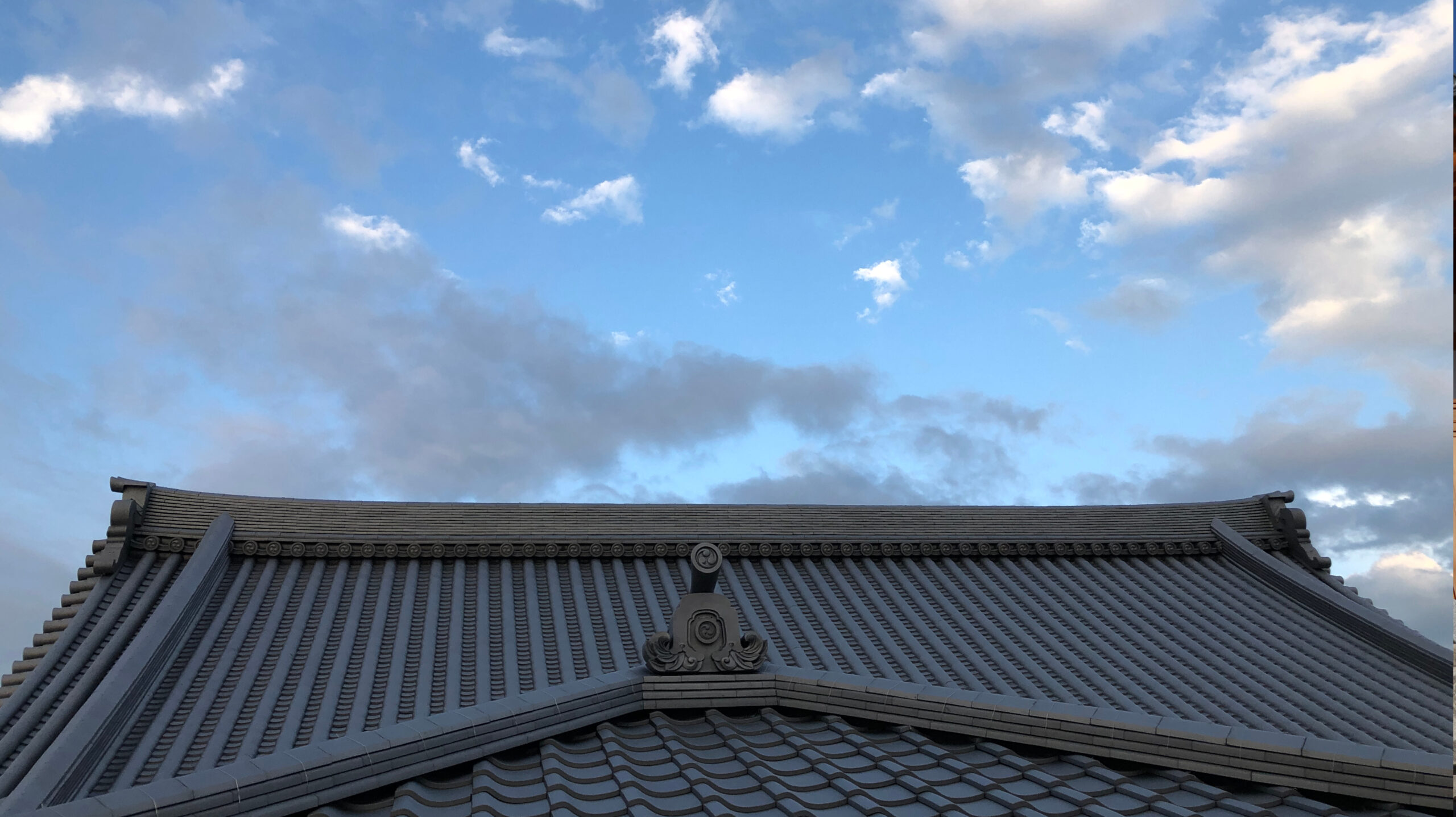 大蔵院本堂　屋根の写真