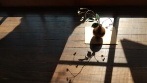 生花の写真