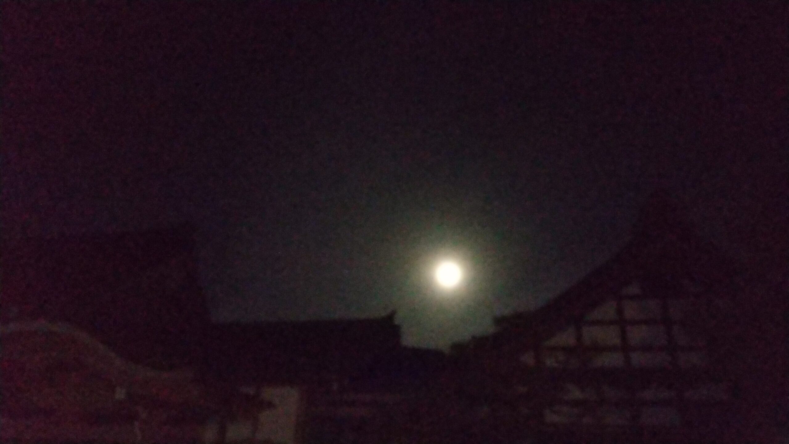 お月さまの写真